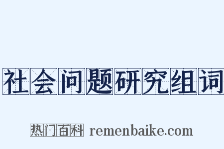 社会问题研究组词是什么意思的图片